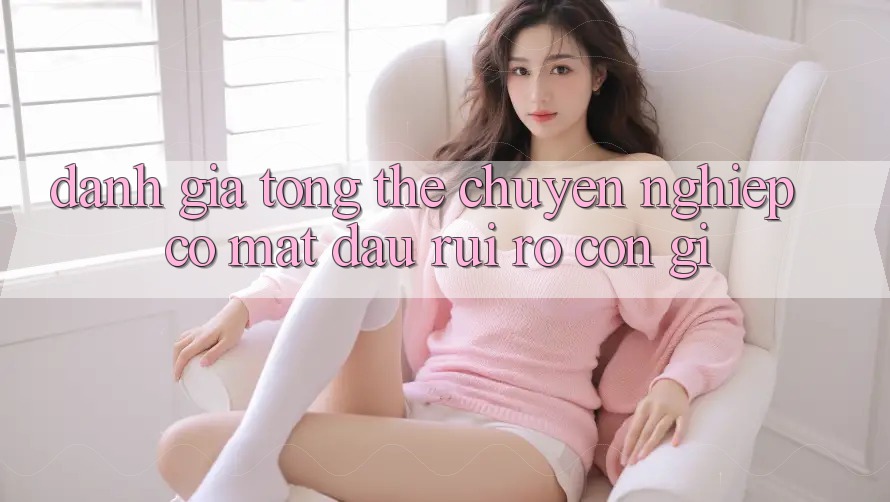 Đánh giá tổng thể: chuyên nghiệp có mặt đâu, rủi ro còn gì Đánh giá tổng thể: chuyên nghiệp có mặt đâu, rủi ro còn gì