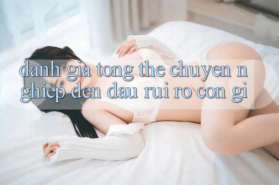 Đánh giá tổng thể: chuyên nghiệp đến đâu, rủi ro còn gì Đánh giá tổng thể: chuyên nghiệp đến đâu, rủi ro còn gì