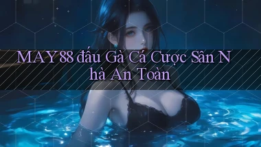 may88  đấu gà cá cược sân nhà an toàn