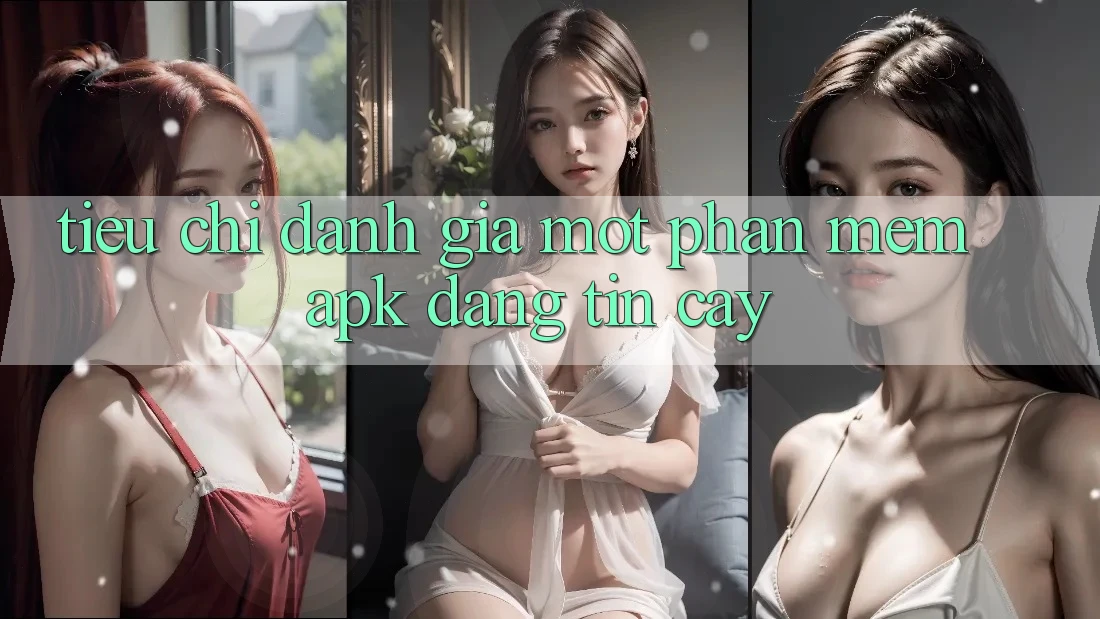 Tiêu Chí Đánh Giá Một Phần mềm APK Đáng tin Cậy Tiêu Chí Đánh Giá Một Phần mềm APK Đáng tin Cậy