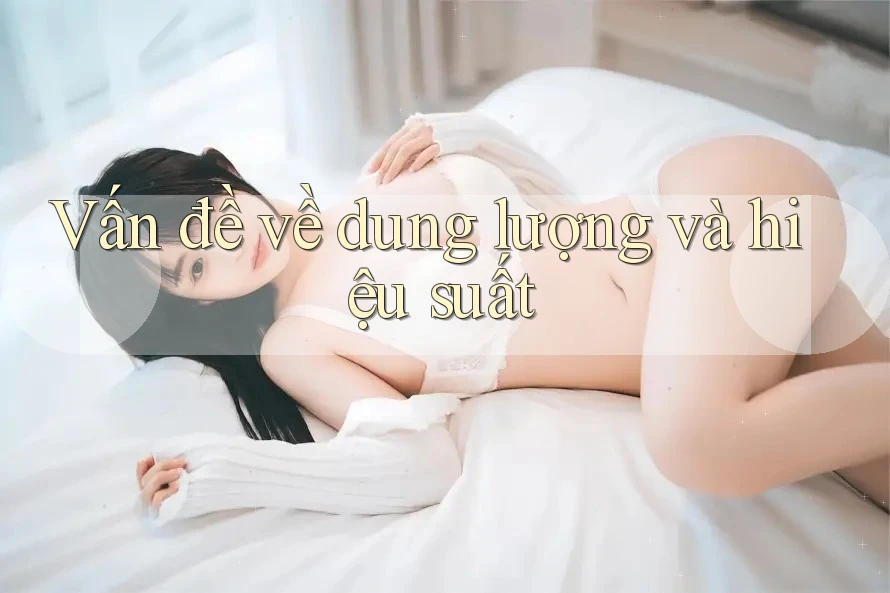 Vấn đề về dung lượng và hiệu suất Vấn đề về dung lượng và hiệu suất